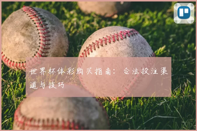 世界杯体彩购买指南：合法投注渠道与技巧