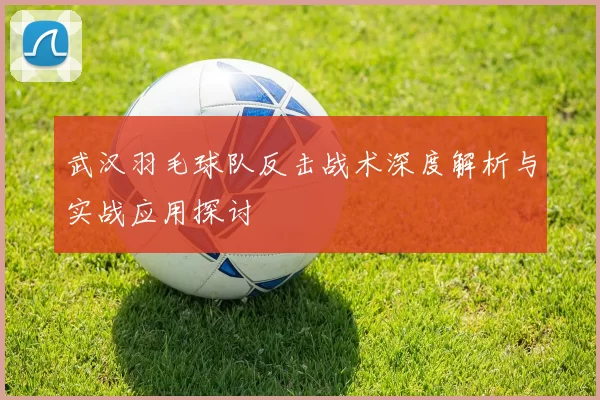武汉羽毛球队反击战术深度解析与实战应用探讨