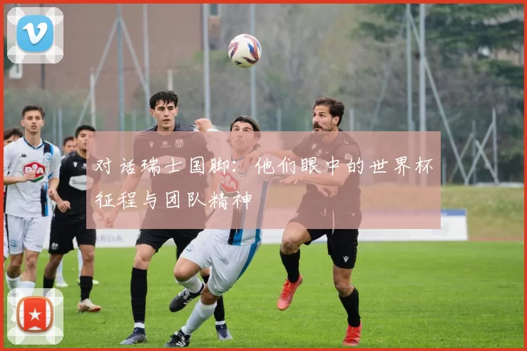 对话瑞士国脚:他们眼中的世界杯征程与团队精神