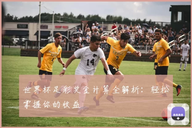 世界杯足彩奖金计算全解析：轻松掌握你的收益