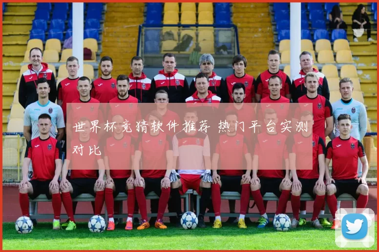 世界杯竞猜软件推荐 热门平台实测对比