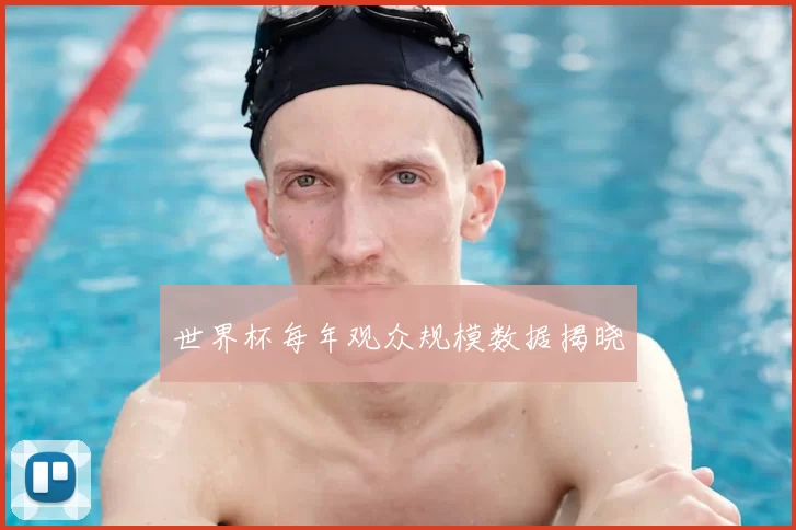 世界杯每年观众规模数据揭晓