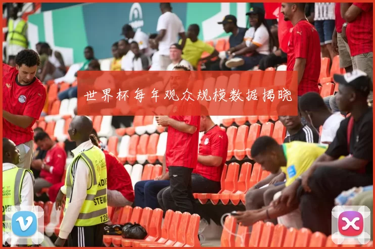 世界杯每年观众规模数据揭晓