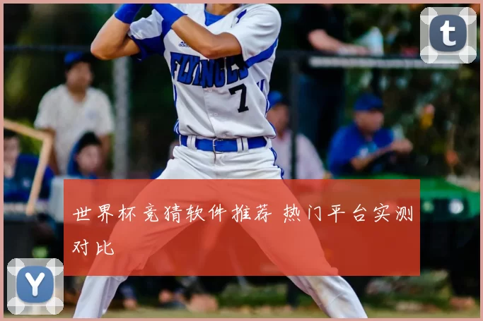 世界杯竞猜软件推荐 热门平台实测对比