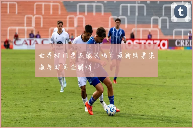 世界杯门票还能买吗?最新购票渠道与时间全解析