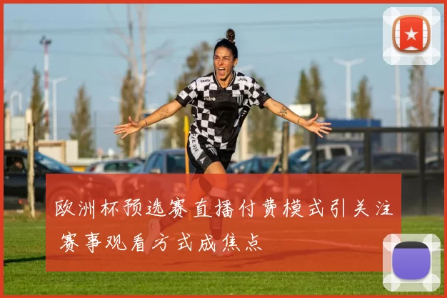 欧洲杯预选赛直播付费模式引关注 赛事观看方式成焦点