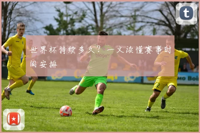 世界杯持续多久?一文读懂赛事时间安排