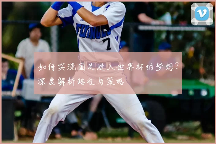 如何实现国足进入世界杯的梦想？深度解析路径与策略