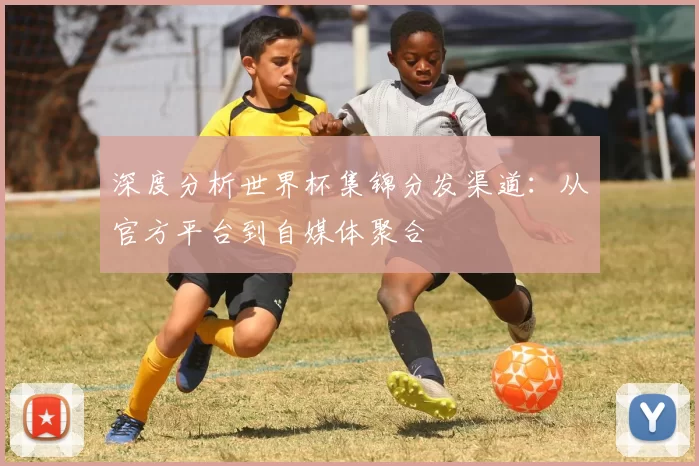 深度分析世界杯集锦分发渠道：从官方平台到自媒体聚合