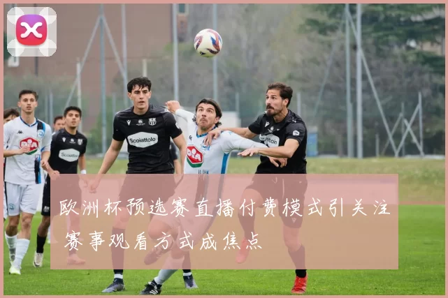 欧洲杯预选赛直播付费模式引关注 赛事观看方式成焦点