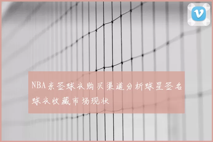 NBA亲签球衣购买渠道分析球星签名球衣收藏市场现状